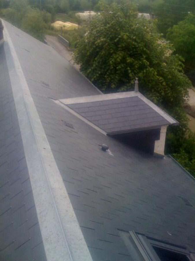 Démoussage de toitures Bourges